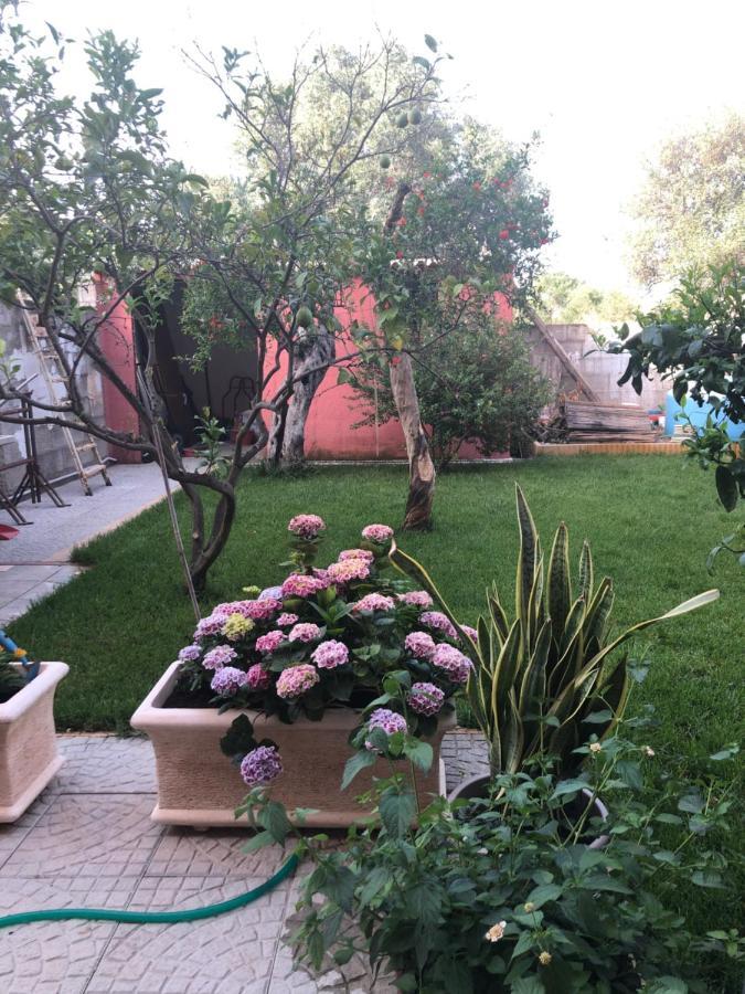 Paese Museo Apartment San Sperate Bagian luar foto